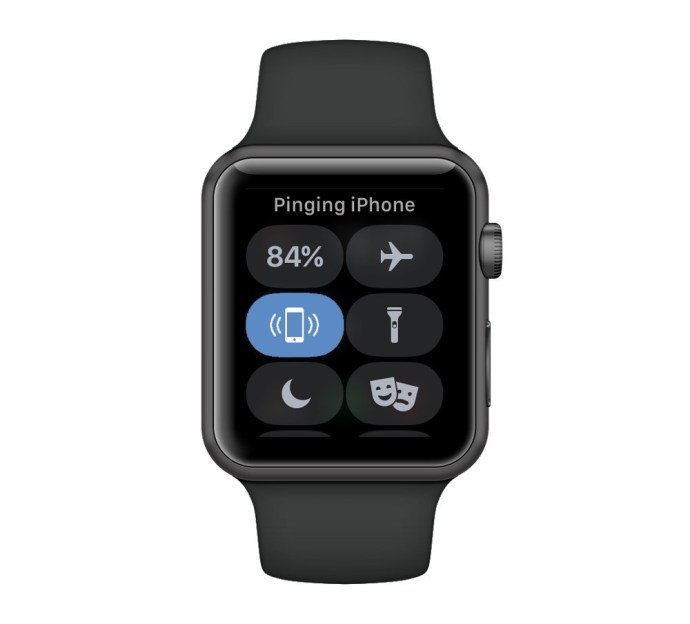 ping iphone montre apple