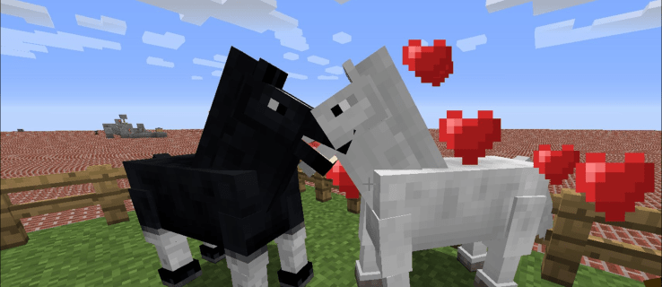 Wie man Pferde in Minecraft züchtet