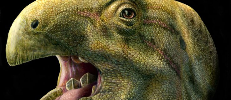 Acest dinozaur „urât” avea dinți uriași ca niște foarfece