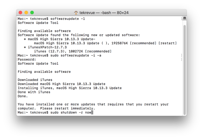 термінал оновлення програмного забезпечення mac